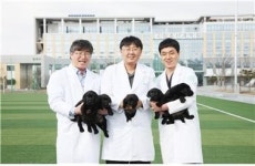 특수목적견 세대교체 복제견이 이끈다