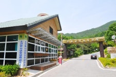 단양 소선암자연휴양림, 사계절 휴식처 각광