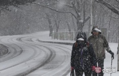 전국5大짬뽕하오치 | 전국 곳곳에 大雪