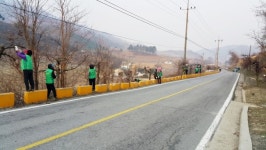 충주 동량면새마을협, 능금나무 가로수길 정비