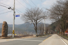 영동군, 오는 10일 1회 호탄 벚꽃문화축제 개최