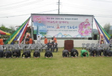 만수무강 기원 충주 중앙탑면 효사랑 경로잔치