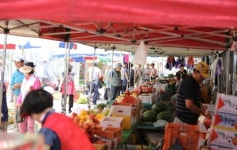 1회 오대산천 산나물축제 13~18일 강원 진부전통시장서