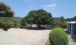 폐교 위기 충주 매현분교장, 인기 학교로 거듭나다