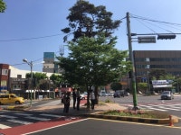 청주시, 폭염대비 그늘이 있는 교통섬 조성