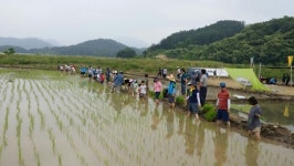한살림충주제천생활협동조합, 손모내기 행사실시