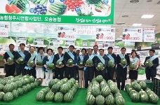 청원생명 오송수박과  건강한 여름 나세요
