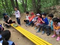 용원초병설유치원, 충주 숲속 유치원 체험활동 실시