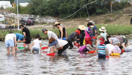 괴산 둔율올갱이 축제 황금 올갱이를 찾아라!