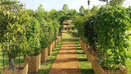 대전 한밭수목원서 15일까지 우리꽃 및 전통생활식물 전시회