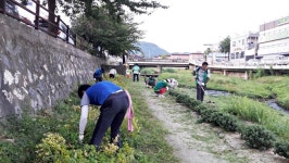 충주용산동 새마을협, 충주천변 산책로 제초작업에 구슬땀