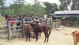 충주달천초, 진로체험 현장학습 실시