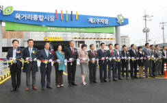 청주 육거리종합시장 주차타워 준공