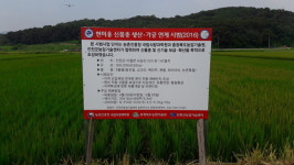 진천군, 고품질 현미 생산으로 쌀소비 다각화 추진 