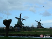 멋진 풍차가 있는 곳, 네덜란드 아닌 세종시입니다