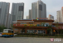 세종시내 어린이집 250개