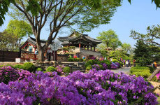 충북 자연치유 코스 대한민국 테마여행 10선 선정