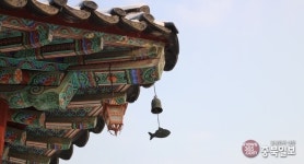 렌즈세상 - 풍경소리 