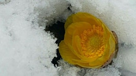 계룡산국립공원 시민대학 수강생 30명 모집