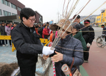 괴산군, 나무 나누어주기 행사 성황