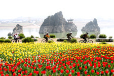 단양군, 사계절 아름다운 녹색경관도시 조성