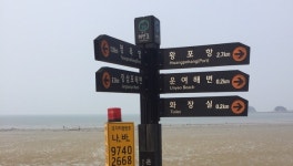 렌즈세상 - 갯바람