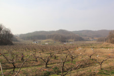 음성 감곡 영산리 태양광발전소 결사반대