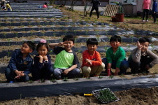 보은 송죽초등학교 어린농부학교 운영