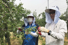 농협청주시지부, 영농철 일손지원 