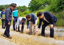 충북농협, 가뭄 피해 농가 일손돕기 총력