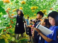 한천초, 농촌교육농장에서 체험활동 전개