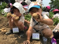 충주남산유치원, 농촌체험 학습