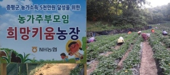 증평군 농가주부모임, 희망키움농장 제초작업 