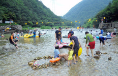옥천 장령산자연휴양림 여름 휴가철 손님맞이 준비 한창