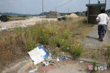 잡초로 뒤덮인 인도… 도로관리 엉망