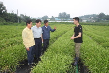 라승용 신임 농촌진흥청장, 진천 삼채농가 방문