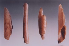 제천 점말동굴의 어제와 오늘-①유물 발굴과 가치 