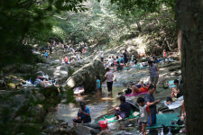폭염 속 계룡산 동학사계곡에 몰린 피서객들