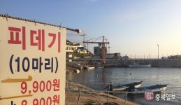 렌즈세상 - 시간의 경계