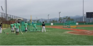 보은스포츠파크, 야구 메카로 자리매김