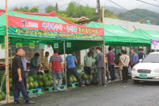 블로거가 소개하는 단양의 착한 농산물