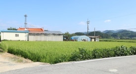 충주 독립운동가 류자명 선생 생가 복원 추진