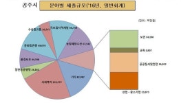 세종은 개발, 대전·청주는 복지에 예산 가장 많이 쓴다