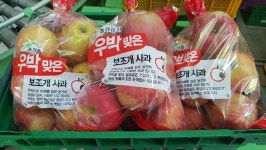 충주APC 하늘이 내려준 보조개(우박)사과 판매