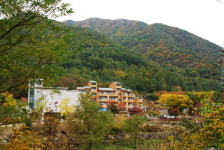 옥천군, 장령산자연휴양림 내달 3~5일까지 무료 대여 