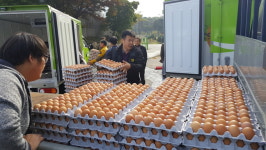 충주의 영농조합법인 무지개농장, 사랑의 달걀 기부