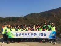 충북농촌사랑봉사단, 사과 수확·김장 담그기 