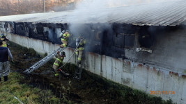 충주 중앙탑면 용전리 돼지축사서 불, 1천900만원 재산피해  