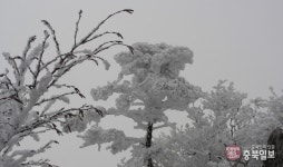 렌즈세상 - 하얀 궤적