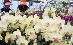 애정이 필요한 충북